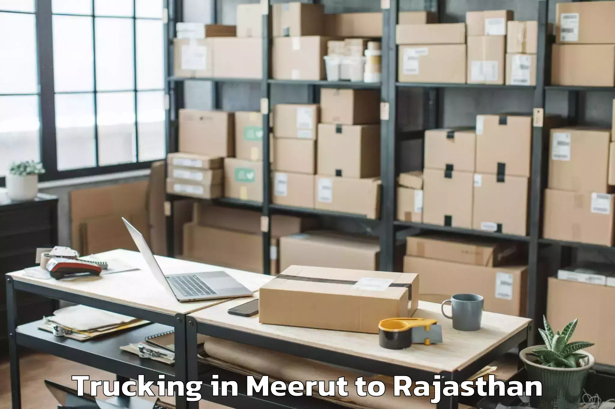 Easy Meerut to Peepalkhoont Trucking Booking